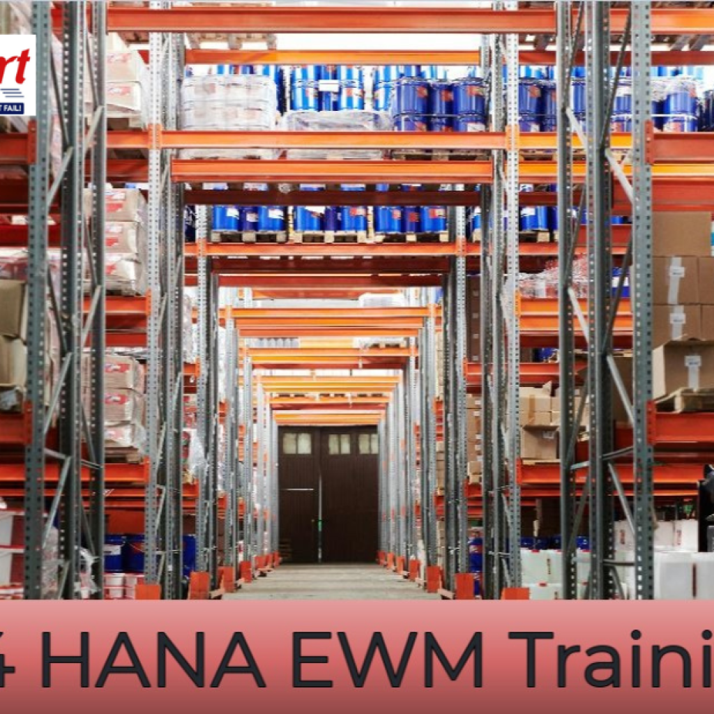Master SAP S/4HANA Finance: Expert Training for Real-World Skills