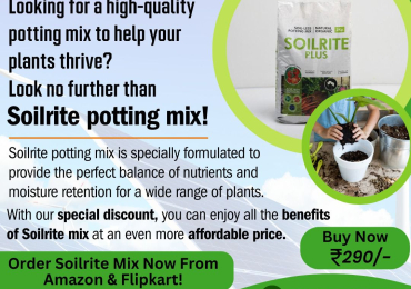 High-Quality Soilrite Mixes for Superior Plant Growth