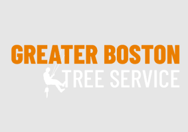 Greater Boston Tree Service