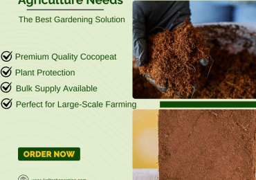 Cocopeat: Best Plant Product