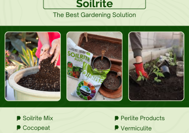 Buy High-Quality Potting Mix for Indoor and Outdoor Gardening