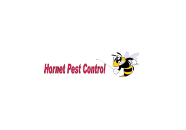 HORNET PEST CONTROL