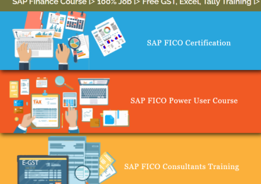 SAP FICO Training in Delhi, Chandni Chow, Free Accounting, Tally & Finance Certification, Free Demo Classes, Navratri Offer till Oct ’23, Free Job Placement