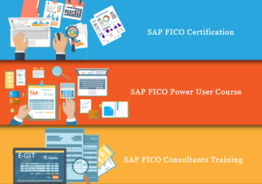 SAP FICO Training in Laxmi Nagar, Nirman Vihar, Preet Vihar, Delhi, SLA Institute, Accounting, Taxation, Tally & GST Classes, 100% Job,
