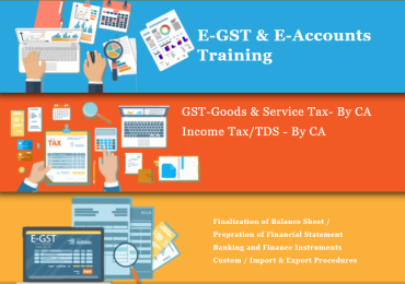 Accounting Classes in Dwarka, Delhi, SLA Taxation Course, SAP FICO, Tally, GST Training Certification, Best Holi Offer