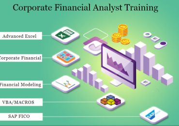 Success Stories: Professionals Who Benefited from Financial Modeling with SAP FICO Certification, Get Financial Analyst Course in Delhi. 110050, by SLA Consultants India