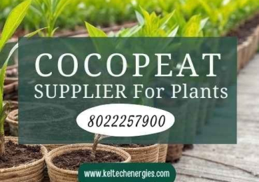Leading Cocopeat Manufacturer & Plant Media Supplier