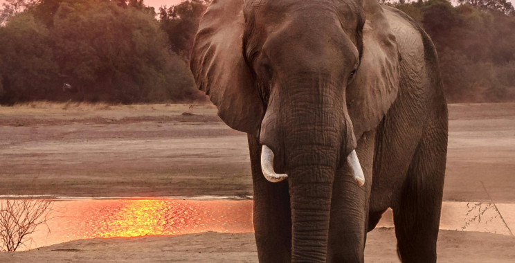 Channel Hearing Aids: Clear Sound, Everyday Comfort