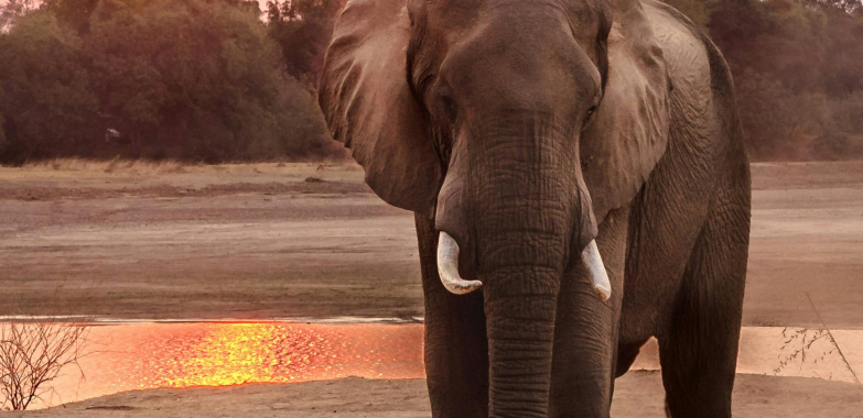 Channel Hearing Aids: Clear Sound, Everyday Comfort