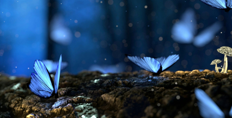 Hearing aids you can trust: safety, certs, and smart care