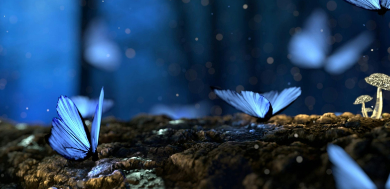 Hearing aids you can trust: safety, certs, and smart care