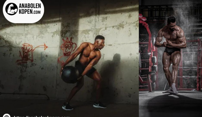 Media