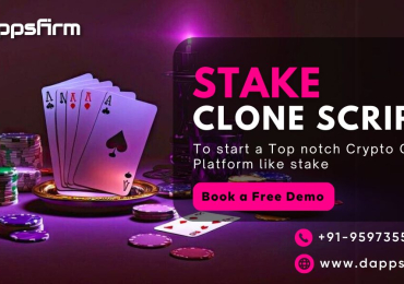 Instantly Launch a Profitable Online Gambling Platform with Stake Clone Script