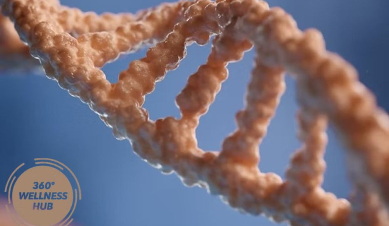 Media